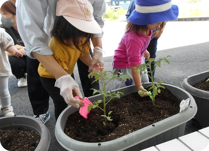 植物との触れ合い